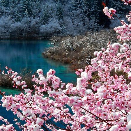 Sheraton Jiuzhaigou Resort Exteriér fotografie