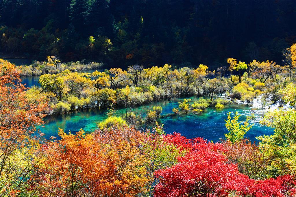 Sheraton Jiuzhaigou Resort Zařízení fotografie
