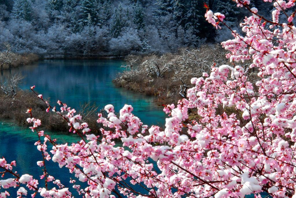 Sheraton Jiuzhaigou Resort Exteriér fotografie